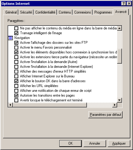 Les propriétés avancées d'Internet Explorer