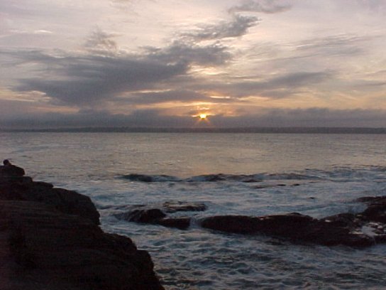 Beavertail