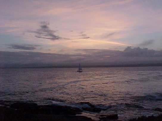 Beavertail