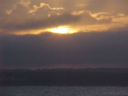 Beavertail